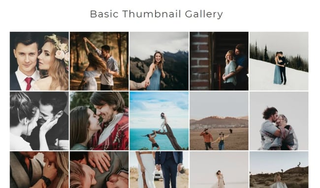 wordpress gallery plugin example: nextgen gallery