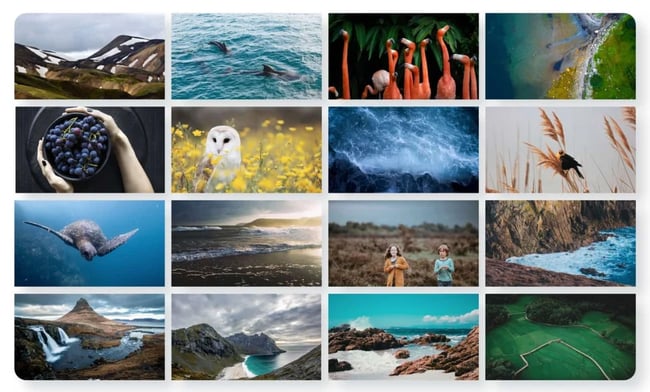 wordpress gallery plugin example: 10 web