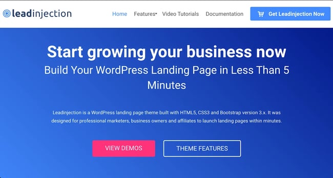 lead injection Landing Page WordPress Theme