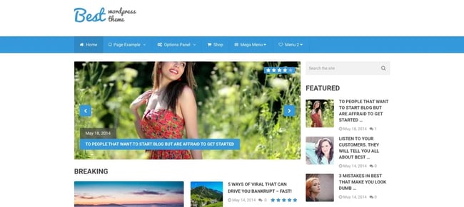 demo of the wordpress theme for adsense best