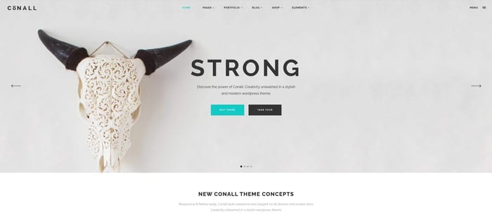 demo for the multipurpose wordpress theme conall