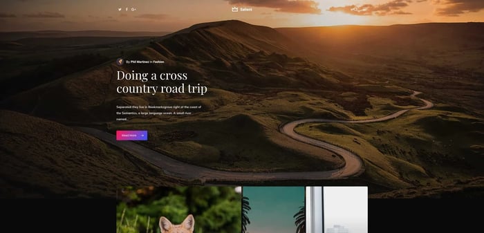 demo for the multipurpose wordpress theme salient