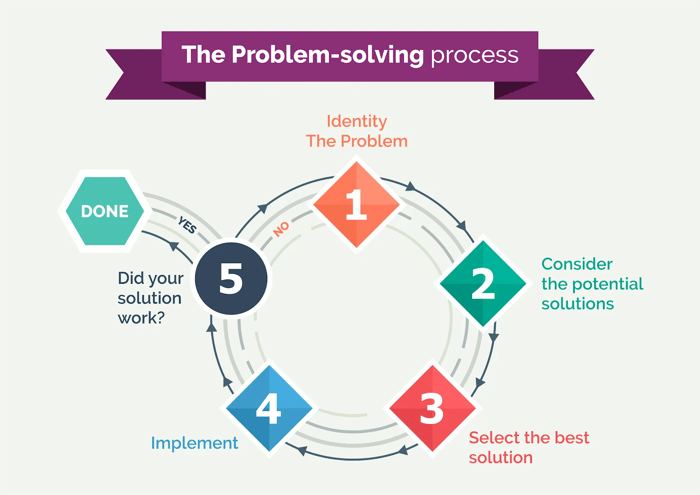 The problem-solving process