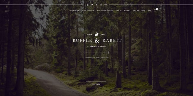 Coming soon demo of Rabbit WordPress theme