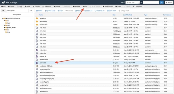 Locate the robots.txt file in your public_html folder and click Edit from the menu at the top of your screen