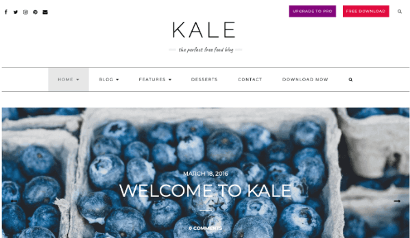 WordPress-Template Kale
