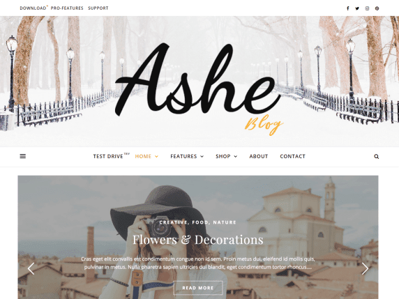 WordPress-Template Ashe