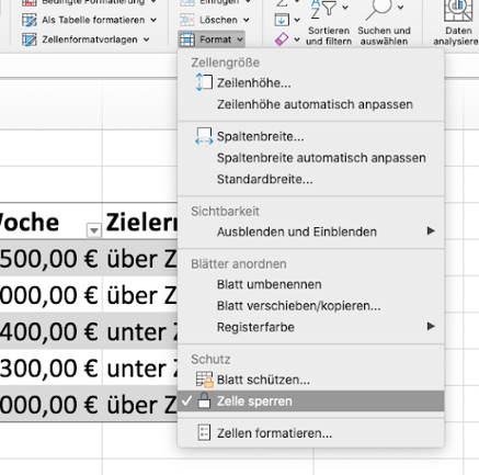 Excel bedingte Formatierung schützen