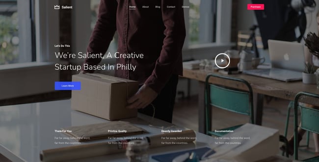 local business wordpress theme demo: salient