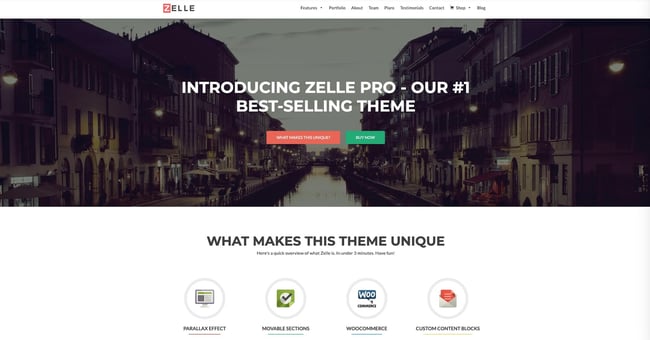 demo of the responsive business wordpress theme zelle pro