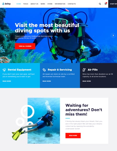 Best WordPress Instagram Themes Briny