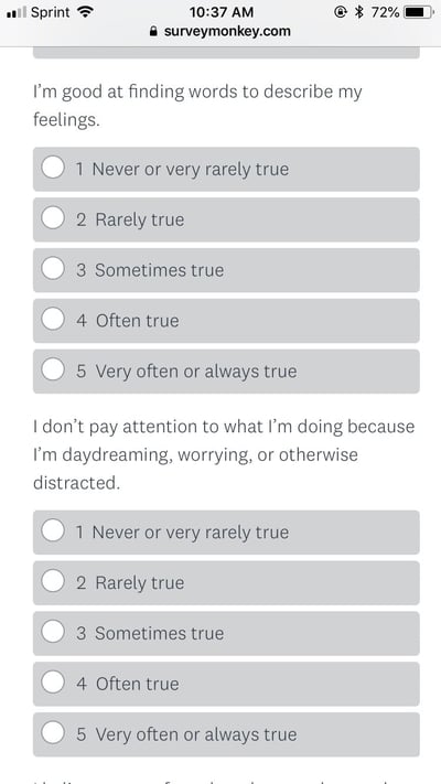 demographic psychographic questionnaire example