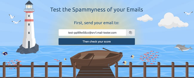 User inputing email address on Mail-tester landing page