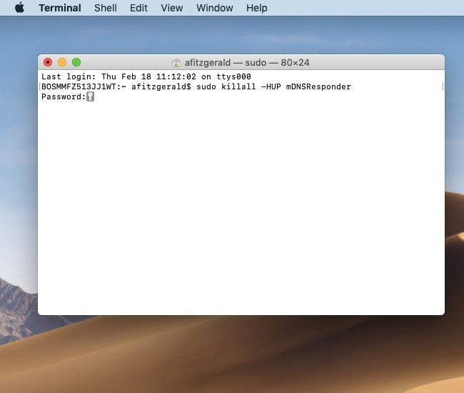 Type in command in Terminal to flush DNS in Mac OS X 10.11-10.15 to resolve DNS error