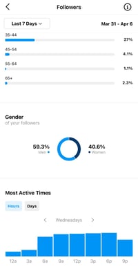 Instagram Insights Dashboard Showing Follower Activity