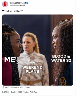 meme marketing example by Netflix