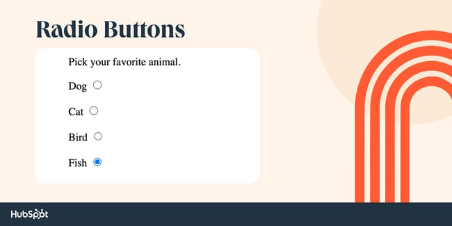 html input type, radio button