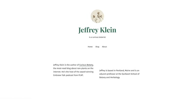 Newsletter wordpress theme “Seedlet”