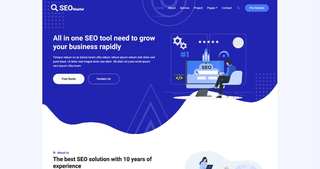 Use the SEOMaster responsive Website template for an agency or small business
