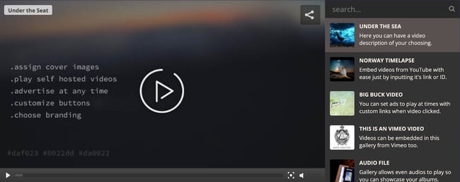 demo of the wordpress video plugin video gallery wordpress plugin