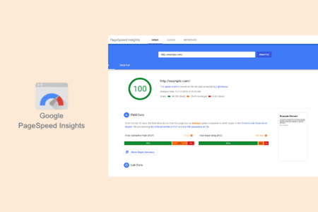 Google PageSpeed Insights example