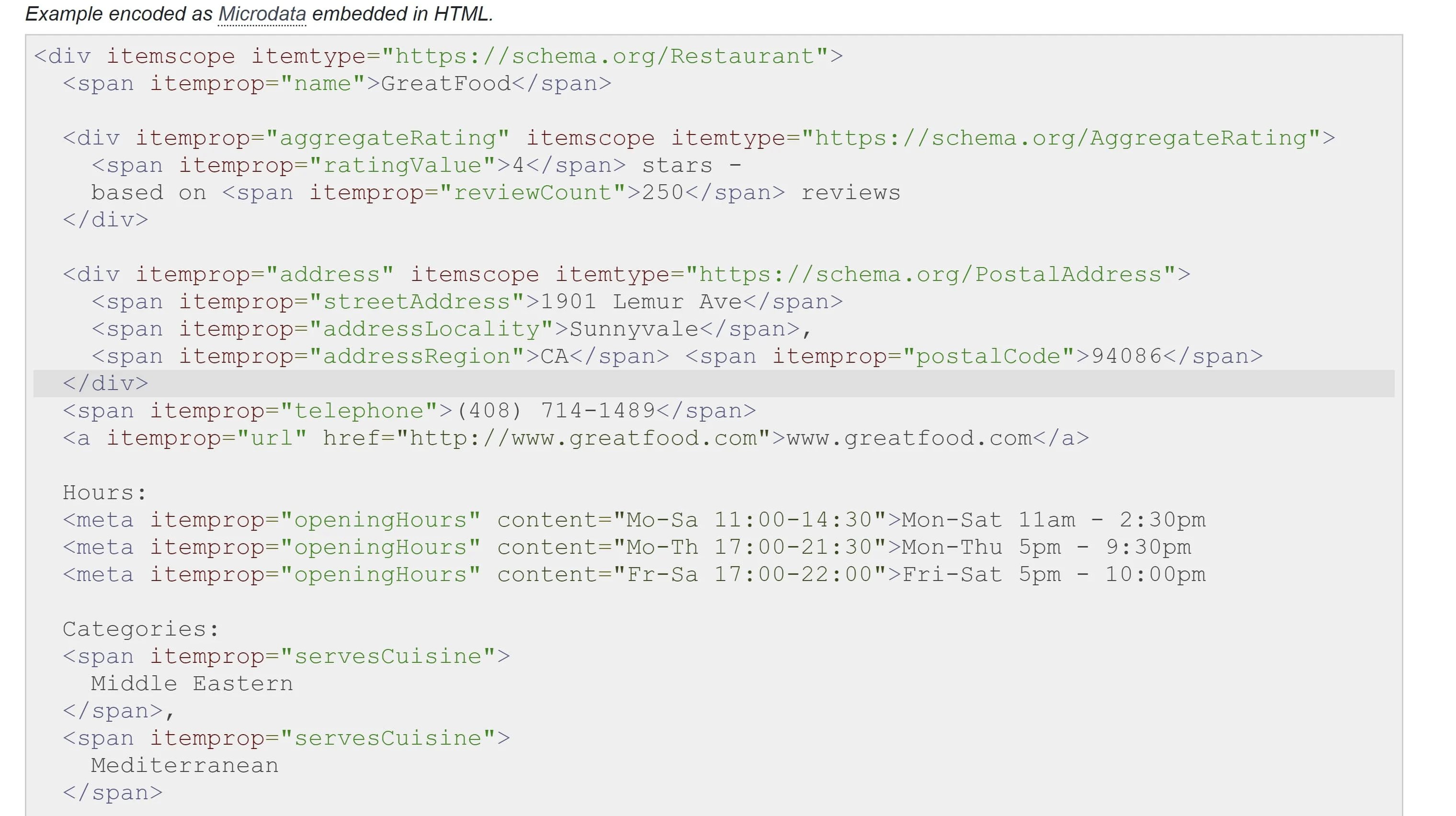 Example of standard local business schema microdata format