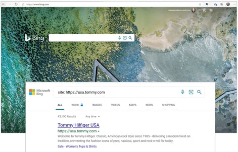 bing site search of tommy hilfiger