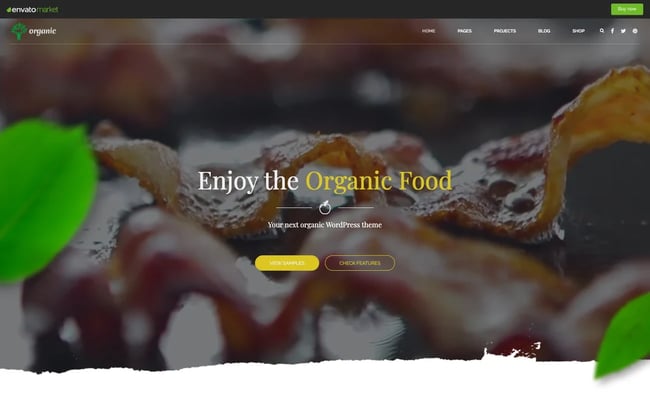 best eco friendly wordpress themes: Organic demo features video slider of chef cooking organic food