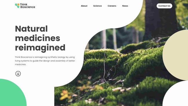 best natural websites think bioscience features copy that says "natural medicines reimagined" 