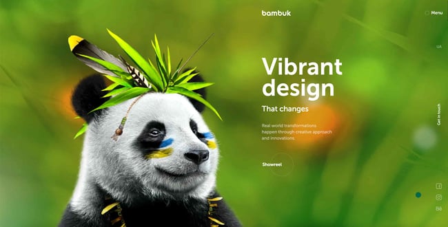 green websites bambuk studio image shows panda bear against green earthy background 