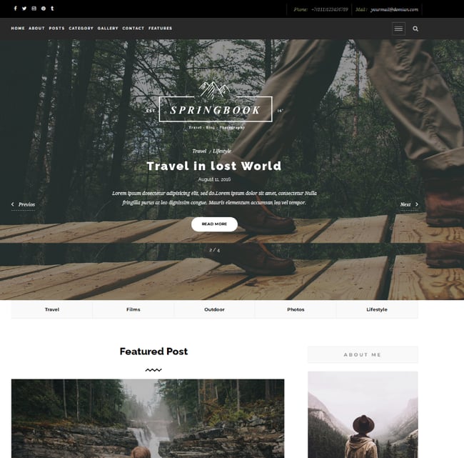 Best Vintage WordPress Themes: Springbook