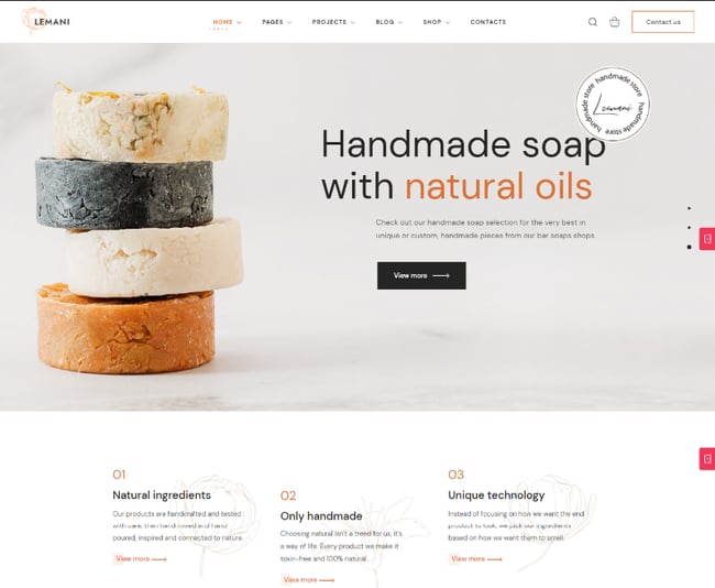 Best Vintage WordPress Themes: Lemani