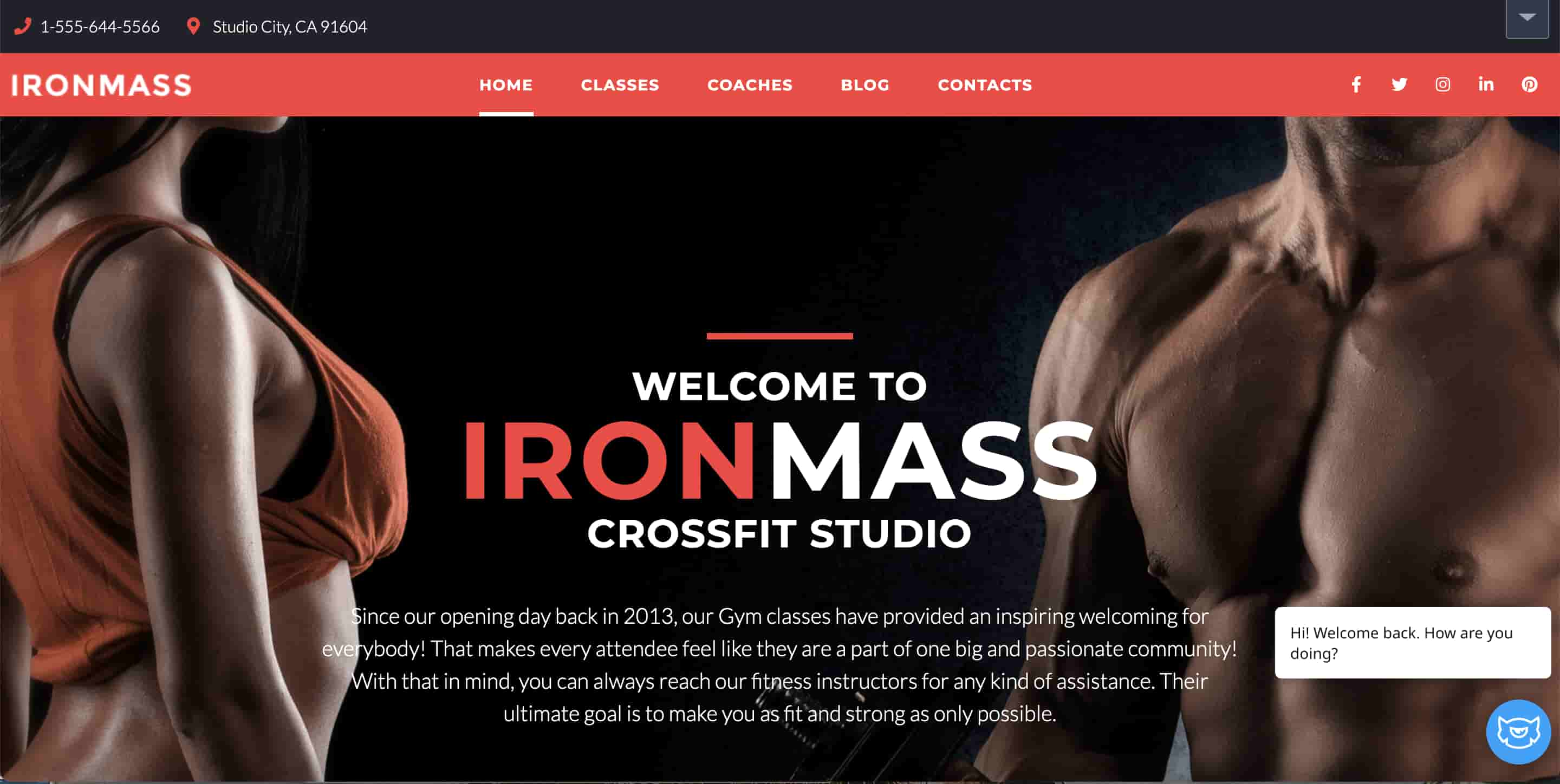 WordPress sports theme IronMass demo 