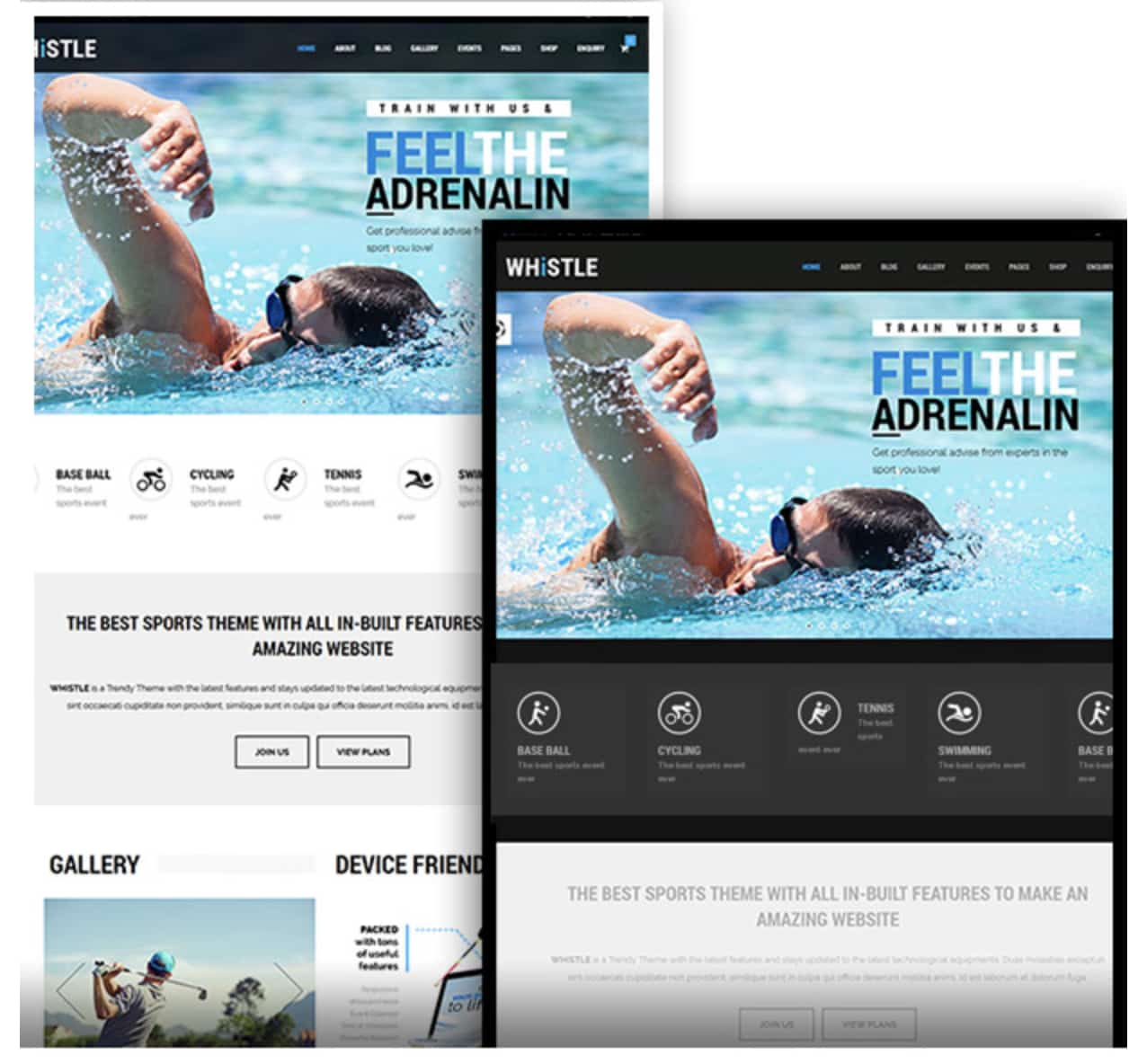 WordPress sports theme Whistle demo 