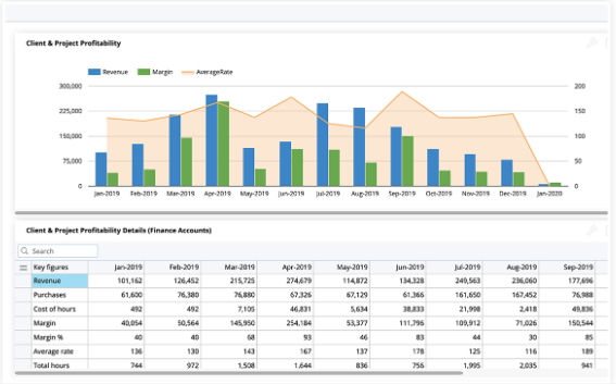 Agency project management software, Deltek WorkBook