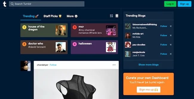 Best blogging platform: Tumblr