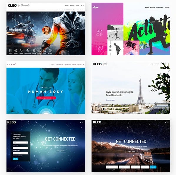 best material design wordpress theme: KLEO