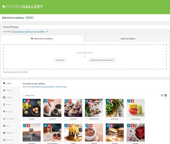 Envira gallery wordpress designer plugin