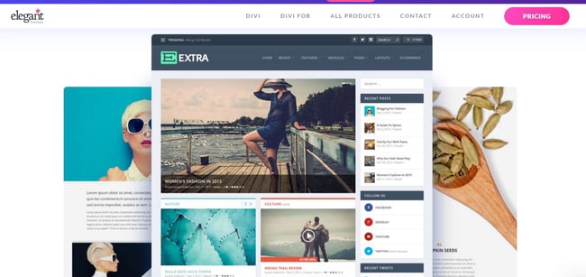 best WordPress themes for writers, extra elegant