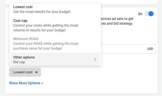 facebook cbo tutorial: campaign bid strategy