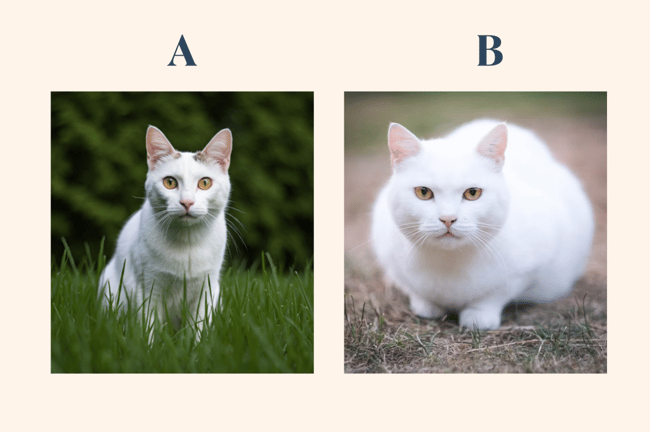 cat real or ai