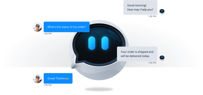 Chatbot conducting a customer chat.