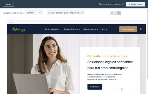 ejemplo de vista previa de sitio web