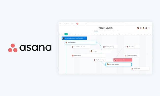 Digital Marketing Tools: Asana