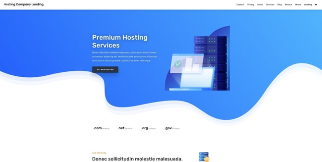 Divi drag-and-drop theme demo for a web hosting site