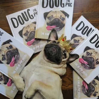 itsdougthepug