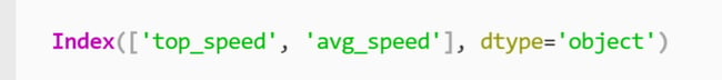 Index list containing column names "top_speed" and "avg_speed" printed to the terminal