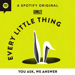 every little thing