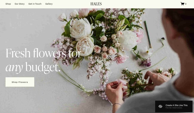 business website templates, hales