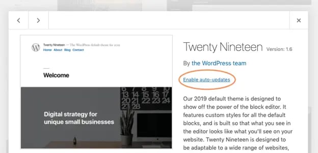 Enable auto-updates link on theme page